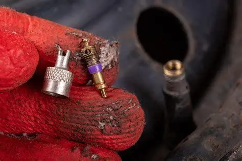 Detail Pentil Ban Dalam Katup udara ban dalam mobil