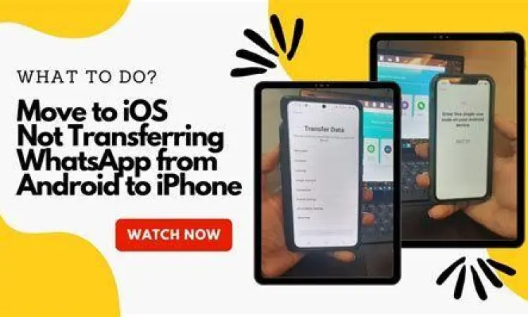 Troubleshooting Migrasi WhatsApp Solusi error transfer WhatsApp Android ke iPhone