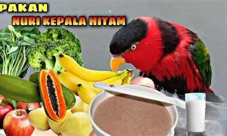 desain eksterior suzuki s-presso terbaru