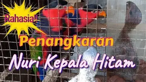 Kenyamanan Interior Mobil Rental Interior mobil rental yang bersih dan nyaman