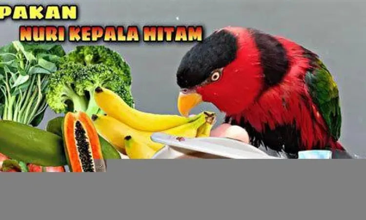 Tampilan depan Toyota Avanza 2012 putih