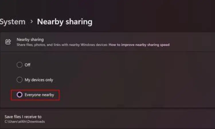 Pengaturan fitur Nearby Sharing di Windows 11