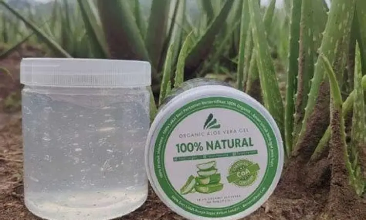 Detail mesin Toyota 5K yang bersih dan terawat